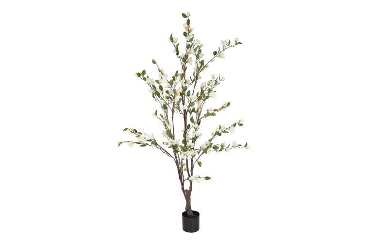 Kunstpflanze Magnolie L weiß-L85B65H170CM