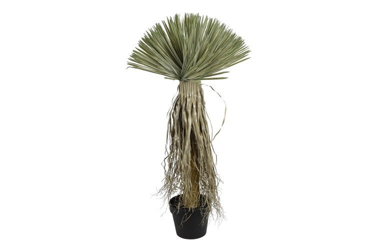 Kunstpflanze Yucca Rostrata S grün-L50B50H90CM