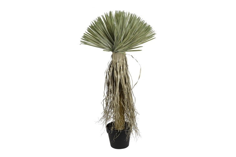 Kunstpflanze Yucca Rostrata L grün-L65B65H120CM