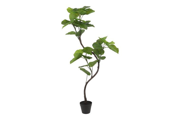 Kunstpflanze Ficus Umbellata Real Touch S grün-L67B43H120CM
