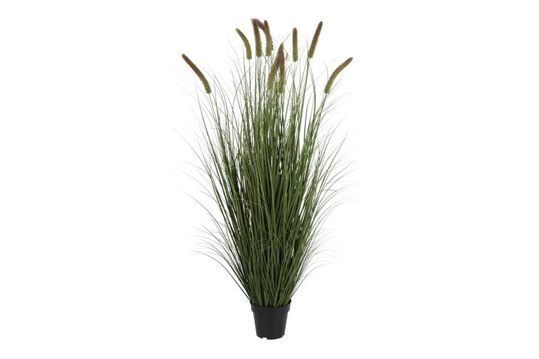 Kunstpflanze Perotis Patens 10 L grün-L30B30H150CM
