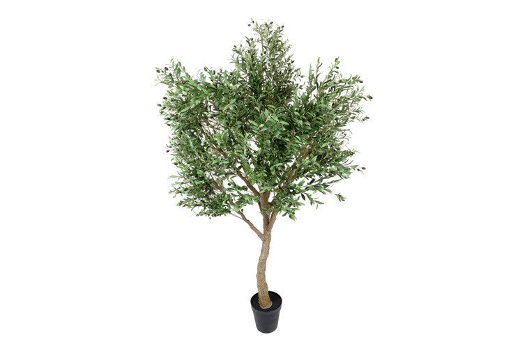 Kunstpflanze Olivenbaum Olea grün-L150B150H250CM