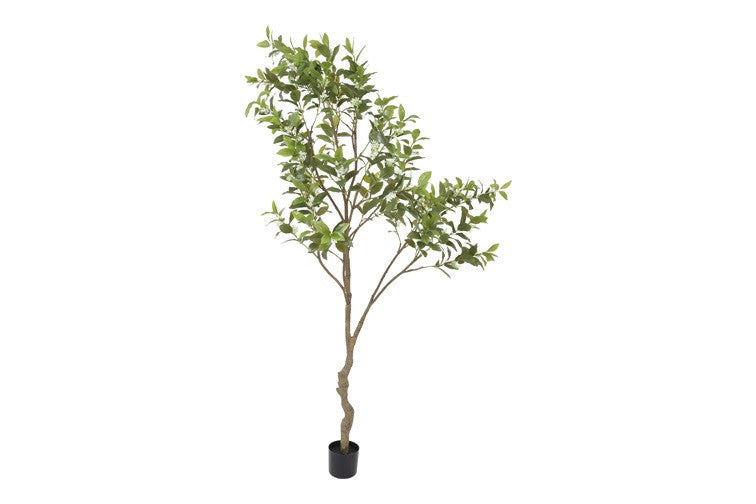 Kunstpflanze Osmanthus Baum grün-L110B110H210CM