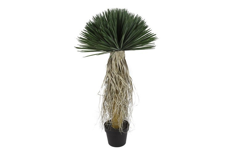 Kunstpflanze Yucca Rostrata M grün-L65B65H120CM