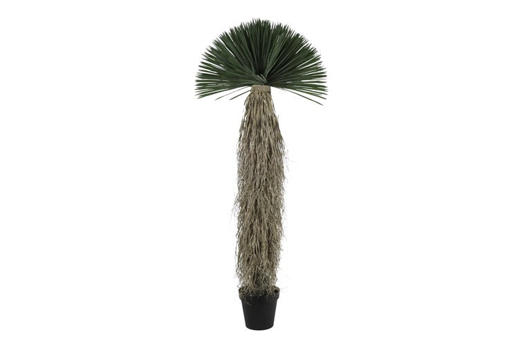 Kunstpflanze Yucca Rostrata L green-L70B70H175CM