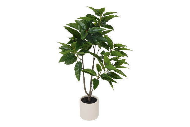 Kunstpflanze Ficus magnolii M grün-L155B45H65CM