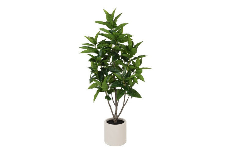 Kunstpflanze Ficus magnolii L grün-L195B50H70CM