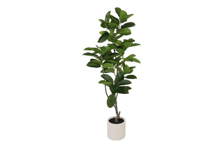 Kunstpflanze Ficus elastica L grün-L170B25H35CM