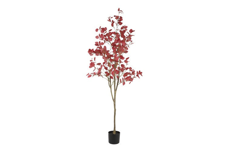 Kunstpflanze Eukalyptus L rot-L50B50H180CM