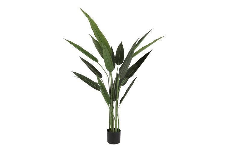 Kunstpflanze Strelitzia S grün-L50B50H140CM