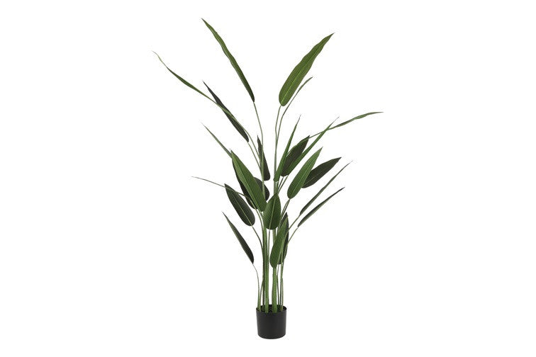 Kunstpflanze Strelitzia L grün-L60B60H180CM