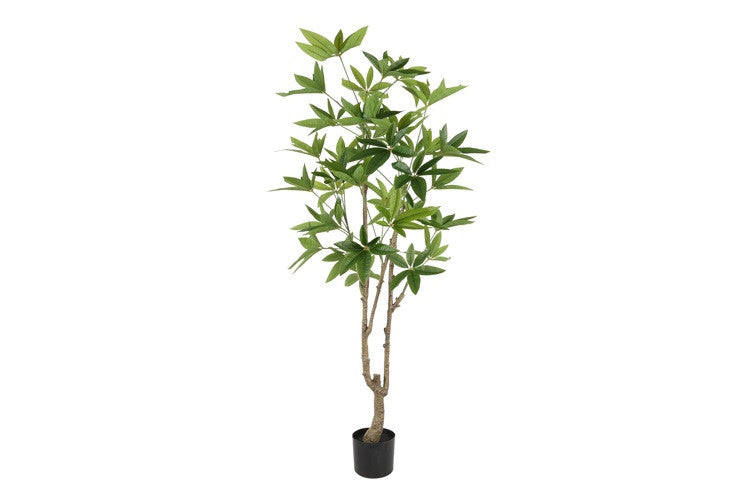 Kunstpflanze Pachira L grün-L60B60H160CM