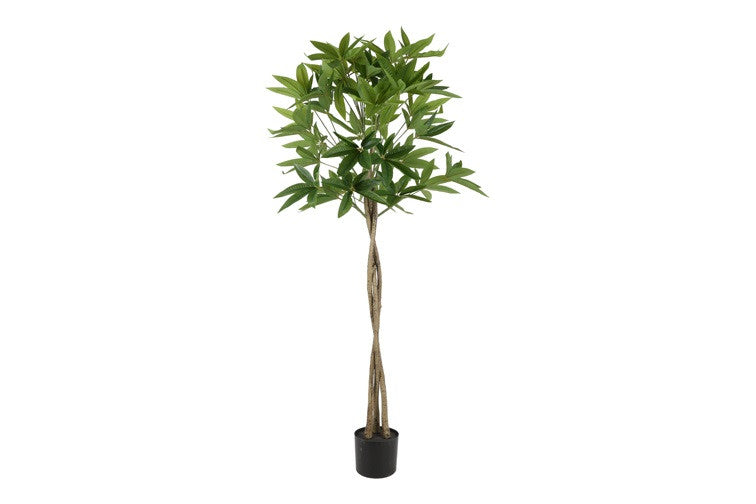 Kunstpflanze Pachira grün-L60B60H165CM