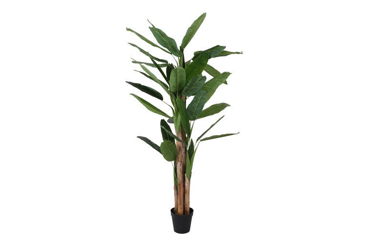 Kunstpflanze Musa grün-L120B120H260CM