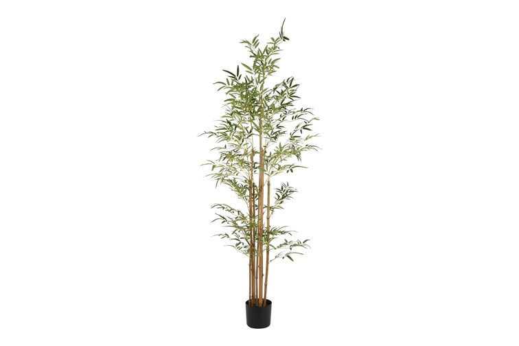 Kunstplant Bamboo XL groen-L60B60H180CM