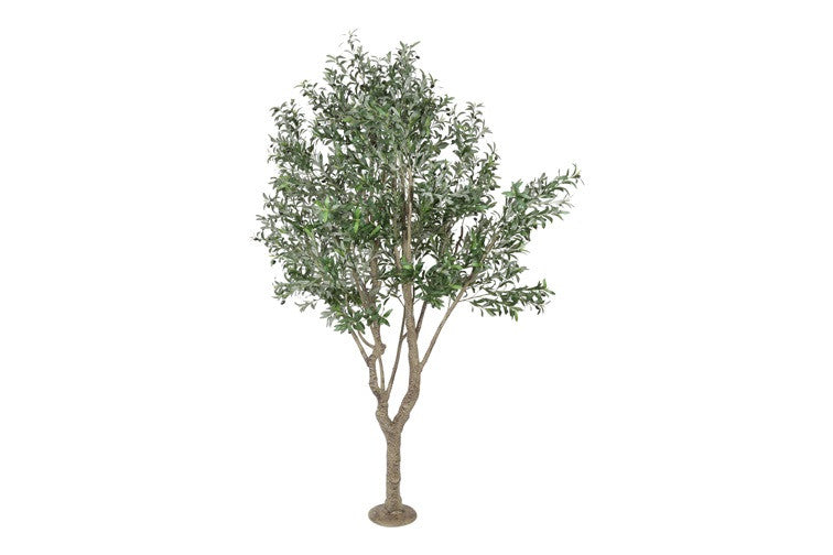 Kunstpflanze Olive Olea grün-L100B100H260CM
