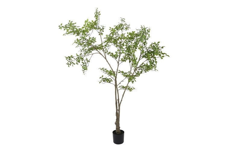 Kunstpflanze Mahonia L grün-L60B60H220CM