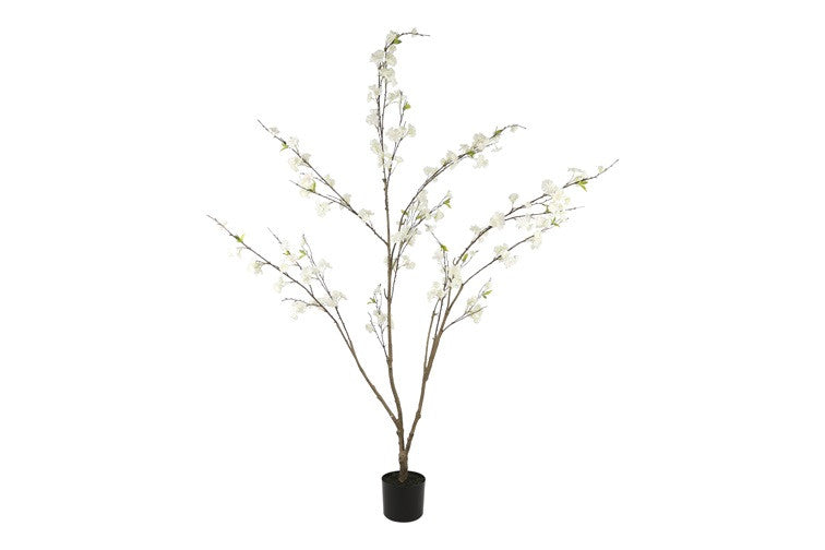 Kunstpflanze Prunus M weiß-L50B50H185CM