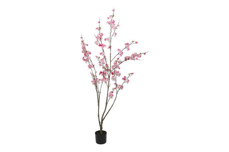 Kunstpflanze Prunus M rosa-L50B50H185CM