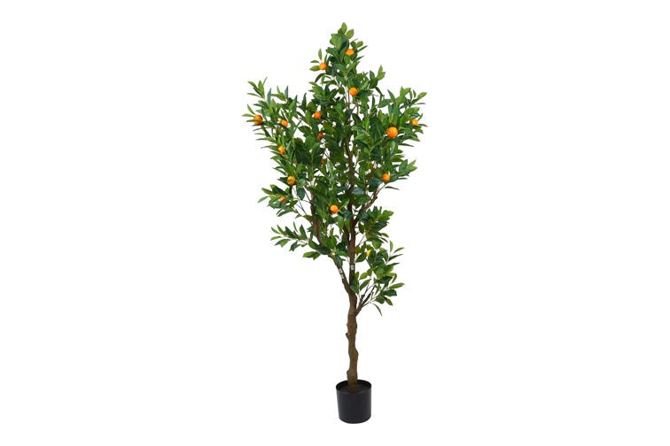 Kunstpflanze Sinansis S orange-L80B80H210CM