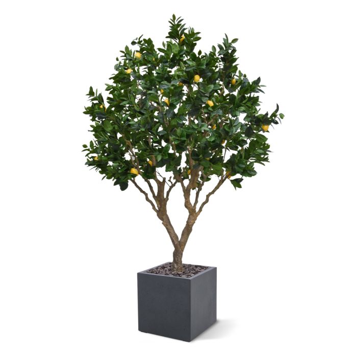 Citroen kunstboom 250cm - afbeelding 3
