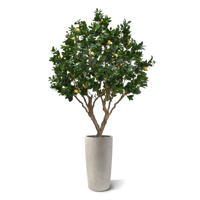Citroen kunstboom 250cm - afbeelding 5