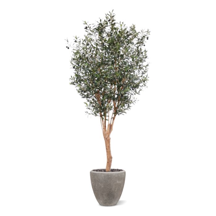 Olijf Deluxe kunstboom 250cm - afbeelding 6