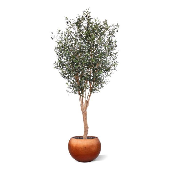Olijf Deluxe kunstboom 250cm - afbeelding 5