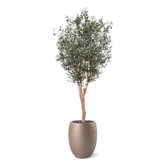 Olijf Deluxe kunstboom 250cm - afbeelding 8