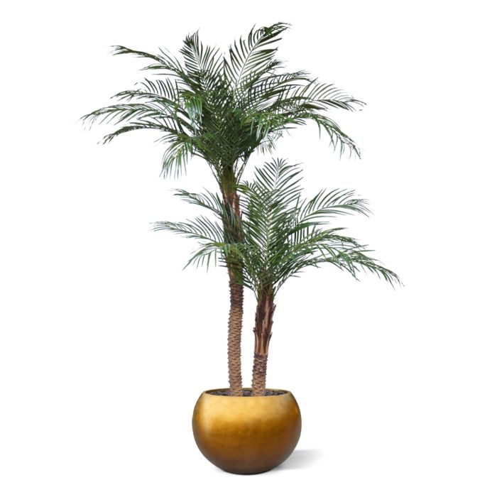 Phoenix Kunstpalm deluxe 225cm - afbeelding 7
