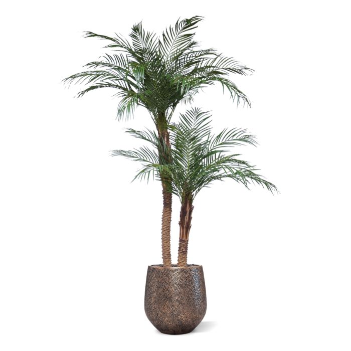Phoenix Kunstpalm deluxe 225cm - afbeelding 4