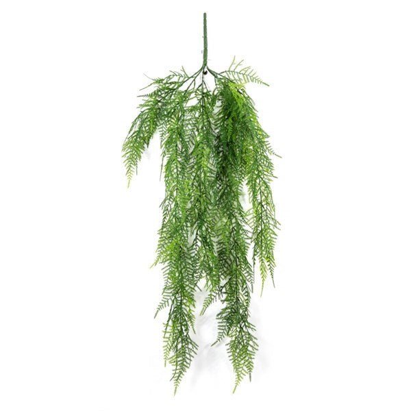 Asparagus Hanging Vine Bush - NOVA LIGNUM