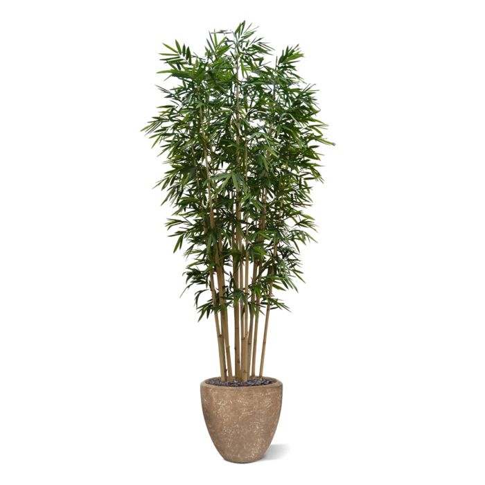 Bamboe deluxe kunstboom op plaat 400cm - NOVA LIGNUM