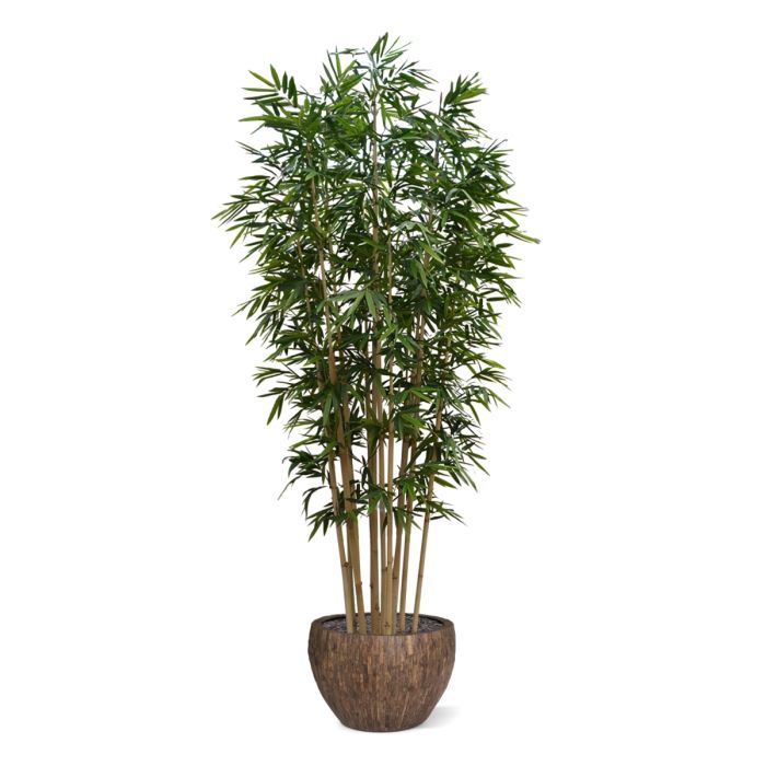 Bamboe deluxe kunstboom op plaat 400cm - NOVA LIGNUM