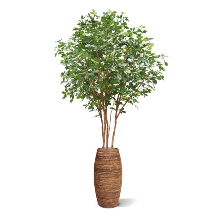 Beuken deluxe kunstboom 350cm - NOVA LIGNUM