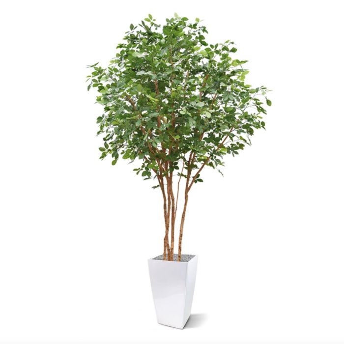Beuken deluxe kunstboom 350cm - NOVA LIGNUM