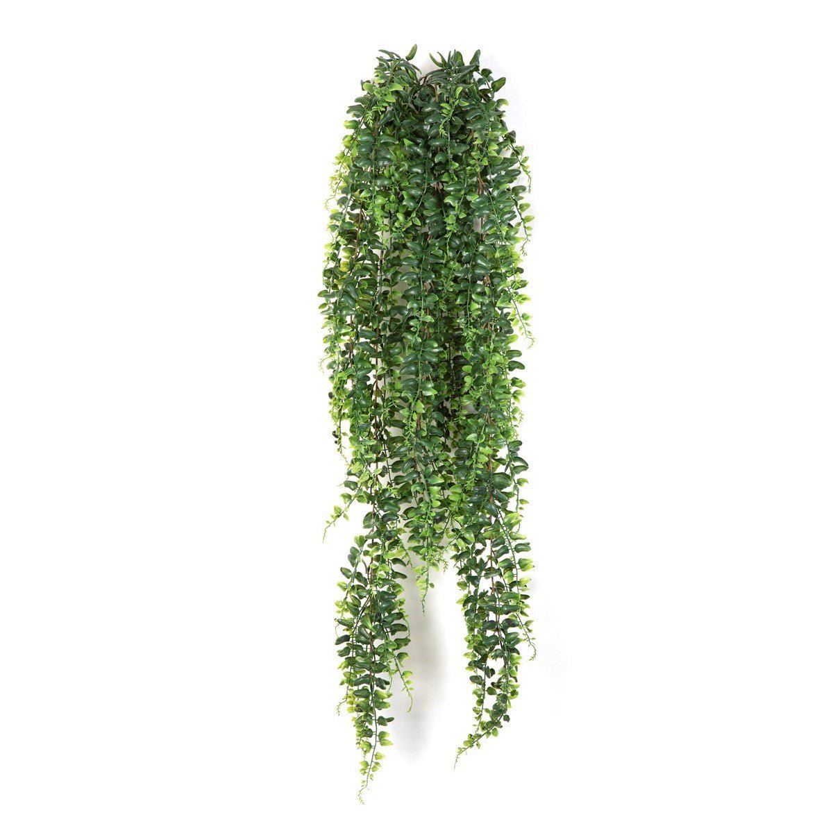 Boston Fern Hanging Bush 100 cm - NOVA LIGNUM