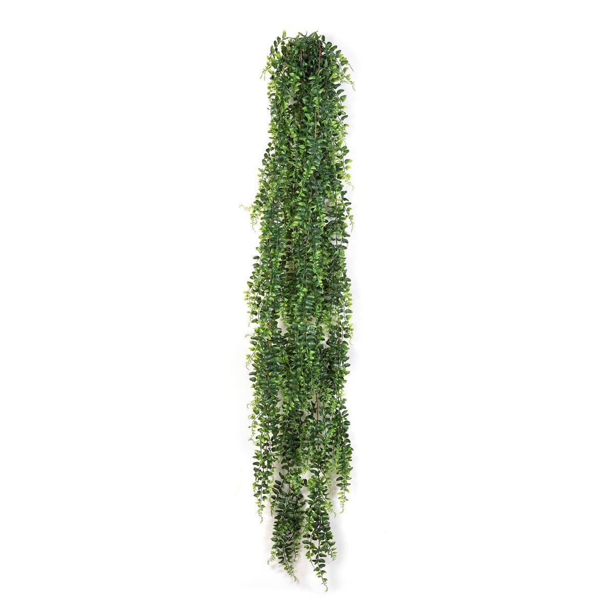 Boston Fern Hanging Bush 140 cm - NOVA LIGNUM