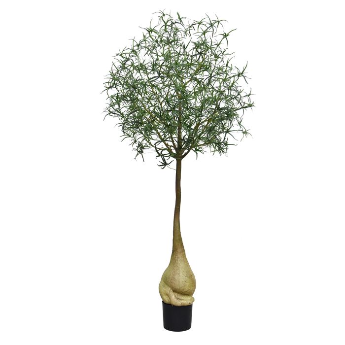 Brachychiton Bottle Kunstboom 240cm - NOVA LIGNUM