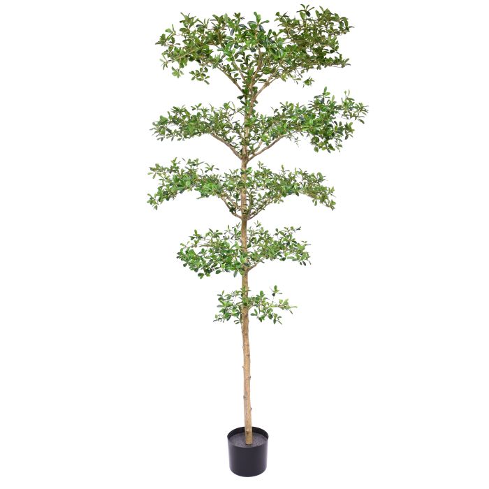 Bucida Buceras Kunstboom 240cm NT groen - NOVA LIGNUM