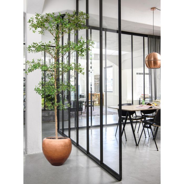 Bucida Buceras Kunstboom 240cm NT groen - NOVA LIGNUM