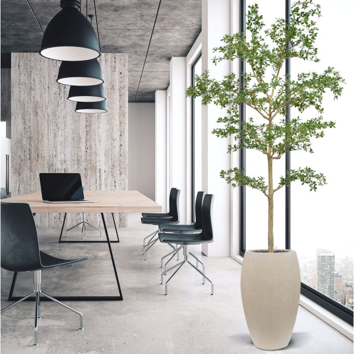 Bucida shady Lady Kunstboom 270cm groen - NOVA LIGNUM
