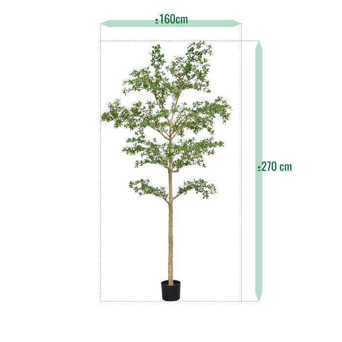 Bucida shady Lady Kunstboom 270cm groen - NOVA LIGNUM