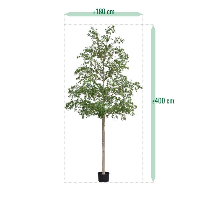 Bucida shady Lady Kunstboom 400cm groen - afbeelding 9