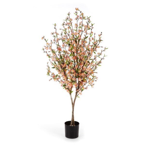 CHERRY BLOSSOM 140 CM - NOVA LIGNUM
