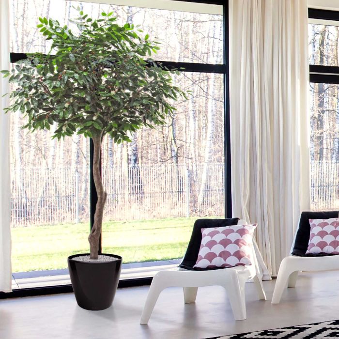 Coffee Arabica Giant kunstboom 320cm - afbeelding 10