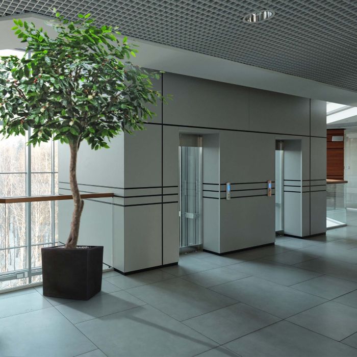 Coffee Arabica Giant kunstboom 320cm - afbeelding 2