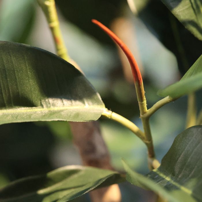 Elastica Robusta Kolom Kunstboom Deluxe 300cm groen - NOVA LIGNUM