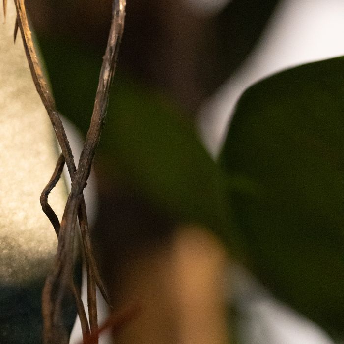 Elastica Robusta Kolom Kunstboom Deluxe 300cm groen - NOVA LIGNUM