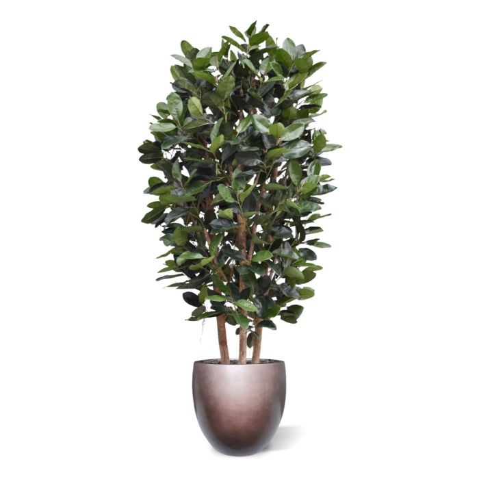 Elastica Robusta Kolom Kunstboom Deluxe 300cm groen - NOVA LIGNUM
